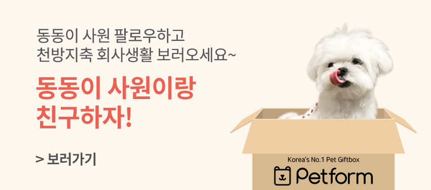 동동이 사원 팔로우하고 천방지툭 회사생활 보러오세요~ 동동이 사원이랑 친구하자!